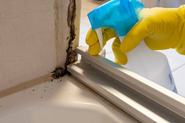 Best Crawl Space Mold Removal  in Seward, NE