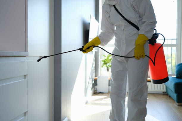 Best Office Mold Removal Services  in Seward, NE