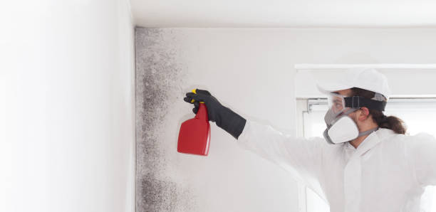 Best Crawl Space Mold Removal  in Seward, NE